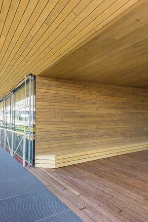 Accoya, als ein ideales Holz für den Außenbereich, wurde beim „Bildungscampus“ Seestadt Aspern in Wien eingesetzt. | (c) heholz/big