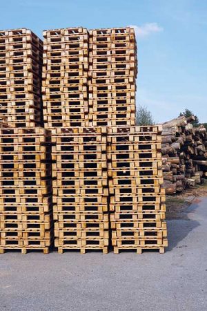 Die kroatische Firma Košćal produziert Holzpaletten verschiedenster Abmaße und erwirtschaftet aus den bei der Produktion anfallenden Holzresten zusätzlich RUF-Holzbriketts. © Fotos: RUF