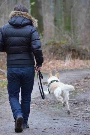 Eine Handvoll Regeln für Fair Play im Winterwald