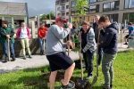 Gemeinsame Pflanzaktion stärkt den Zusammenhalt und die Schul-Gemeinschaft – die Esche bekam den Platz vor der Werkstättenhalle (Foto: Holztechnikum Kuchl)