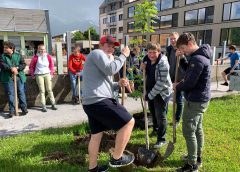 Gemeinsame Pflanzaktion stärkt den Zusammenhalt und die Schul-Gemeinschaft – die Esche bekam den Platz vor der Werkstättenhalle (Foto: Holztechnikum Kuchl)