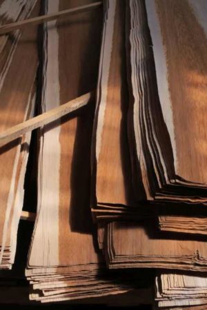 Die Furnierblätter warten auf ihre Weiterverarbeitung. Foto: IFN/Mehling & Wiesmann Die Furnierblätter warten auf ihre Weiterverarbeitung. Foto: IFN/Mehling & Wiesmann