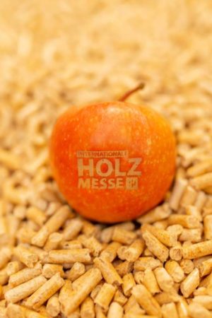 von 31. August bis 3. September finden die Internationale Holzmesse sowie die Holz&Bau in Klagenfurt statt. (Foto: Kärntner Messen/Zangerl) von 31. August bis 3. September finden die Internationale Holzmesse sowie die Holz&Bau in Klagenfurt statt. (Foto: Kärntner Messen/Zangerl)