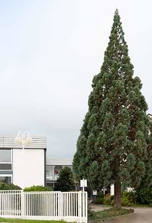 LINCK Holzverarbeitungstechnik GmbH LINCK Holzverarbeitungstechnik GmbH