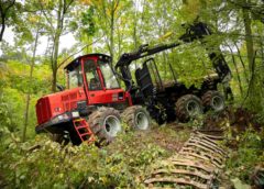 Waldtage 2022 (Foto: Andreas Hafenscher)