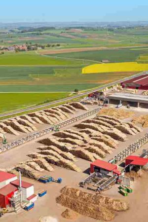 Holzwerke Ladenburger in Kerkingen (Deutschland) (Foto: Ladenburger) Holzwerke Ladenburger in Kerkingen (Deutschland) (Foto: Ladenburger)