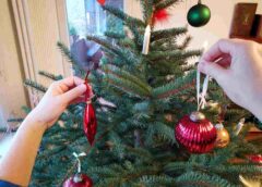 Der Brauch, eine Tanne oder Fichte aufzustellen und mit Früchten, Holzschnitzereien, Spielzeug, Kugeln, Kerzen oder Lametta zu behängen, ist relativ jung. Erst im 19. Jahrhundert breitete sich die Tradition aus und einen Weihnachtsbaum in der „guten Stube“ aufzustellen. (Foto: VNWB / Kollaxo)