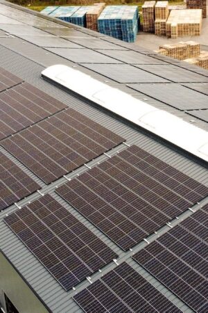 Unser Engagement für den Umweltschutz geht über die Herstellung hinaus: Von der Nutzung energieeffizienter Technologien bis hin zur Investition in nachhaltige Energieformen wie Photovoltaik ist die Reduktion unseres ökologischen Fußabdrucks ein zentrales Ziel. (c) Winter