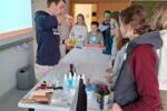 Das prämierte Projekt „MINT-Lab Wood“ wurde am Holztechnikum Kuchl entwickelt und richtet sich speziell an MINT-Mittelschulen und Gymnasien. (c) Holztechnikum Kuchl