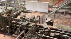 Eukalyptusverarbeitung mit LINCK-Technologie