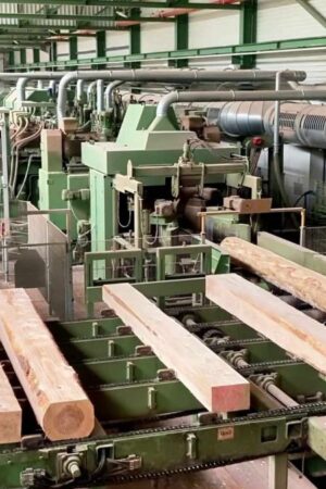 Wie die LINCK-Technologie große Baumstämme verarbeitet
