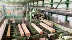 Wie die LINCK-Technologie große Baumstämme verarbeitet