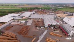 Hinter dem Erfolg des Sägewerks Mercer Torgau