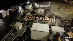 Wie Rettenmeier Europas modernstes Sägewerk baute