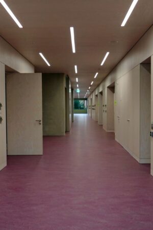 Das edle Furnier entfaltet - kombiniert mit farbigen Akzenten - eine helle und freundliche Anmutung: Hier lässt es sich gut lernen. Fotos: Roser AG